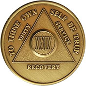 29 Year Bronze AA Meeting Chip