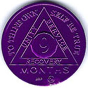 9 Month Aluminum AA Meeting Chip
