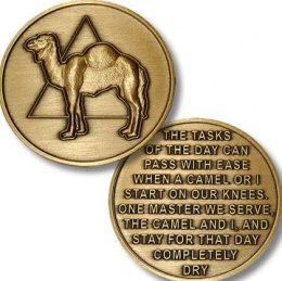 24 Hour Camel Medallion Bronze Medallion