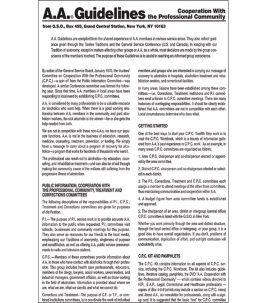 Guidelines - Cooperation with the Professional Community