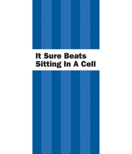 P-33 It Sure Beats Sitting in a Cell